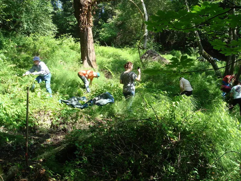 Climate Conference Work Party photo