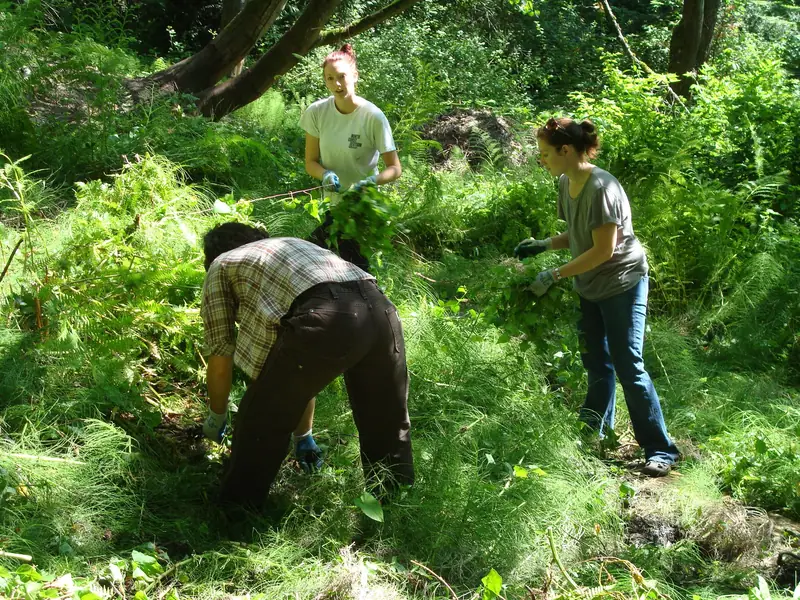 Climate Conference Work Party photo