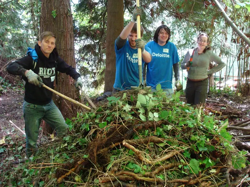 Deloitte Work Party photo