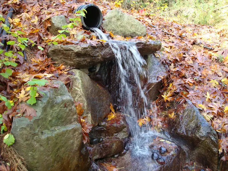 Stream outfall fall