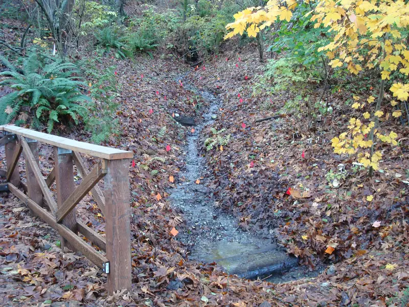 Upper stream at platform in fall