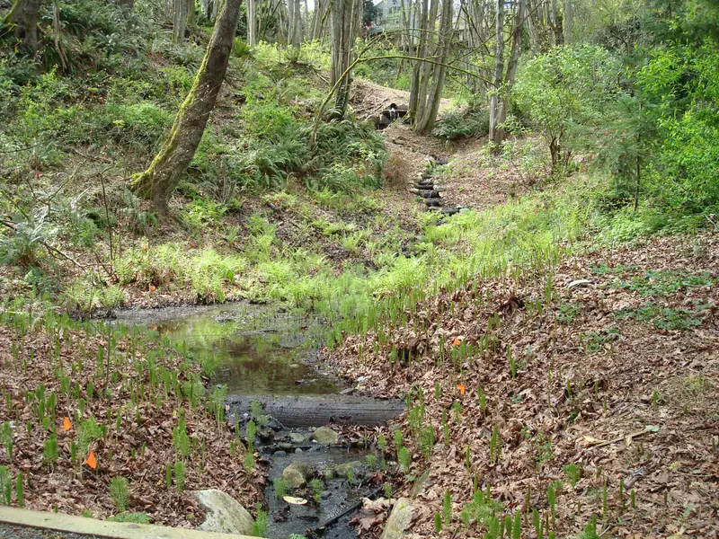 Upper stream from jacks trail