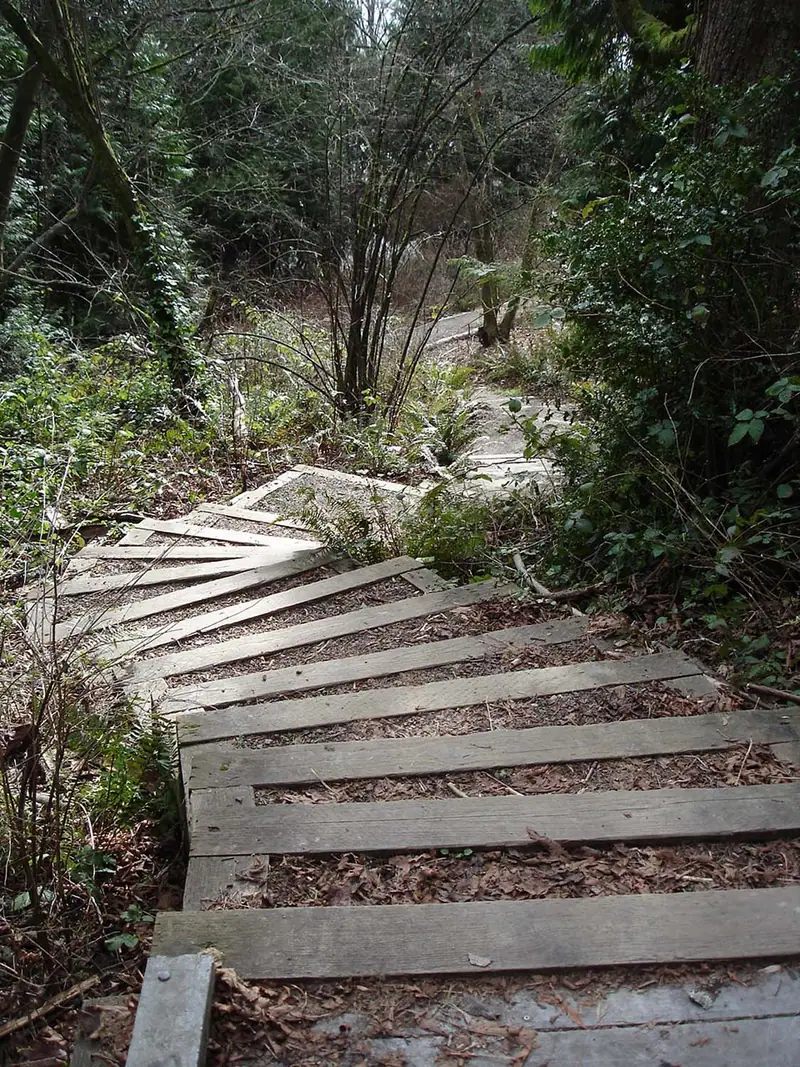 Photo: Trails
