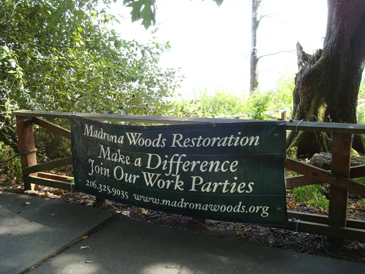 Photo: Ongoing Restoration