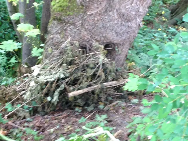 Photo: Vandalism in Madrona Woods