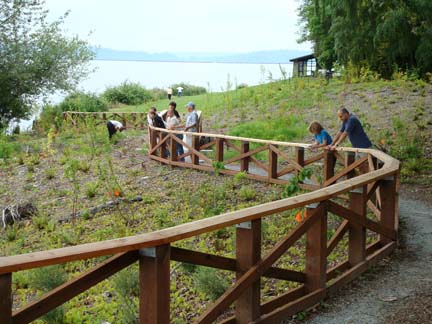 116._People_enjoying_the_cove_trail_June