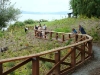 116._People_enjoying_the_cove_trail_June