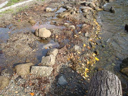 Stream meets lake