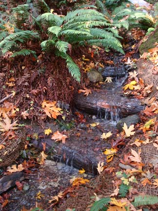 Weirs below Spring Street