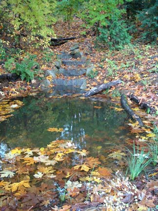 Stream flowing into west pond
