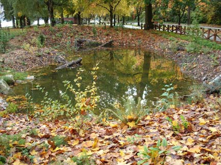 East pond looking south