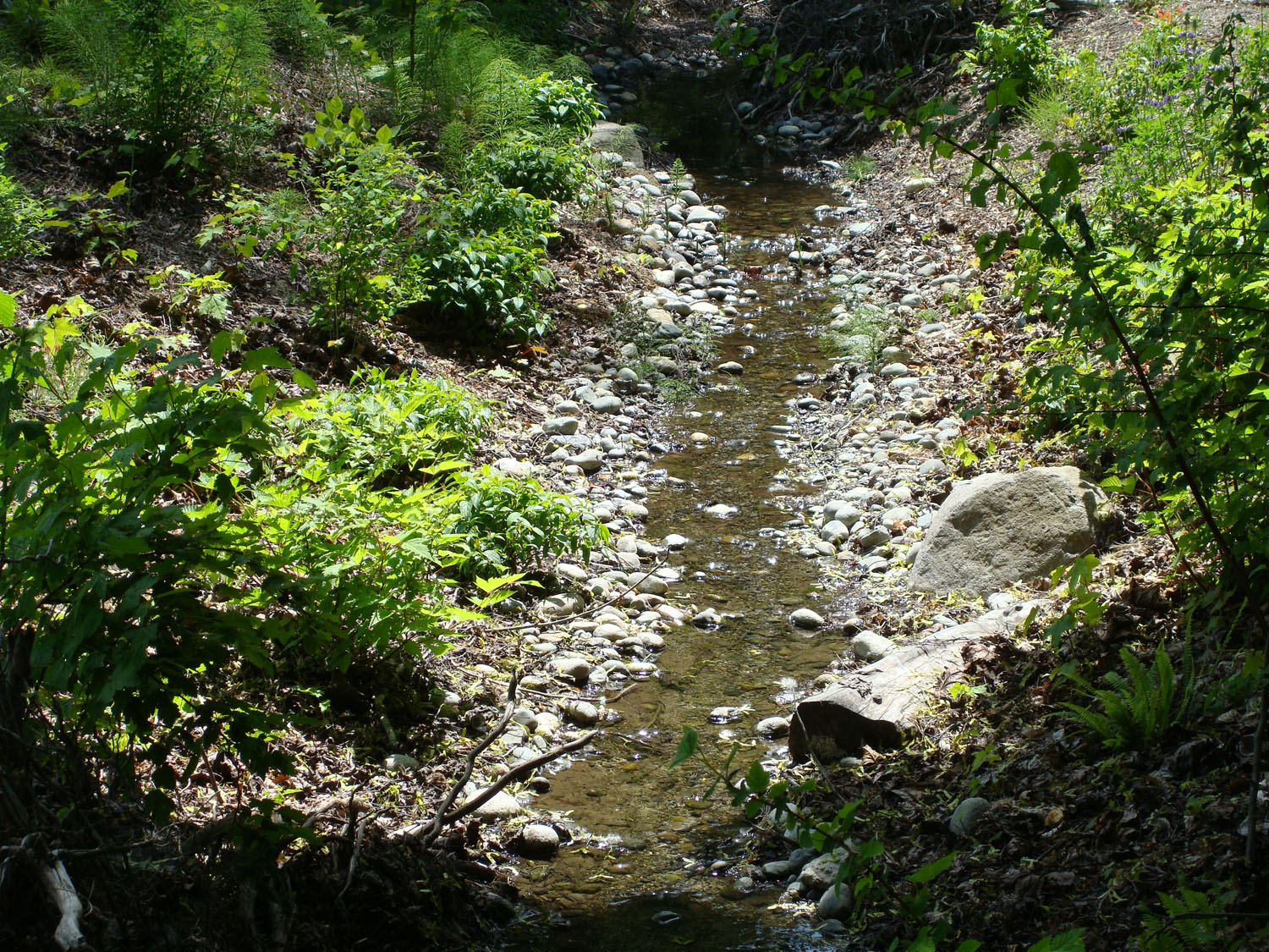 stream-after-east-pond