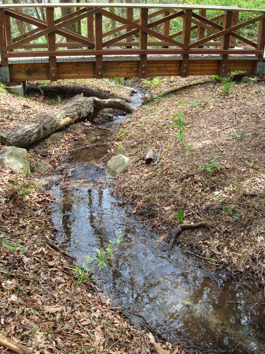 stream-going-under-spring-st-bridge