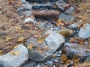 Stream flowing below rock feature