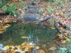 Stream flowing into west pond