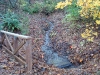 upper-stream-at-platform-in-fall