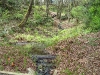 upper-stream-from-jacks-trail