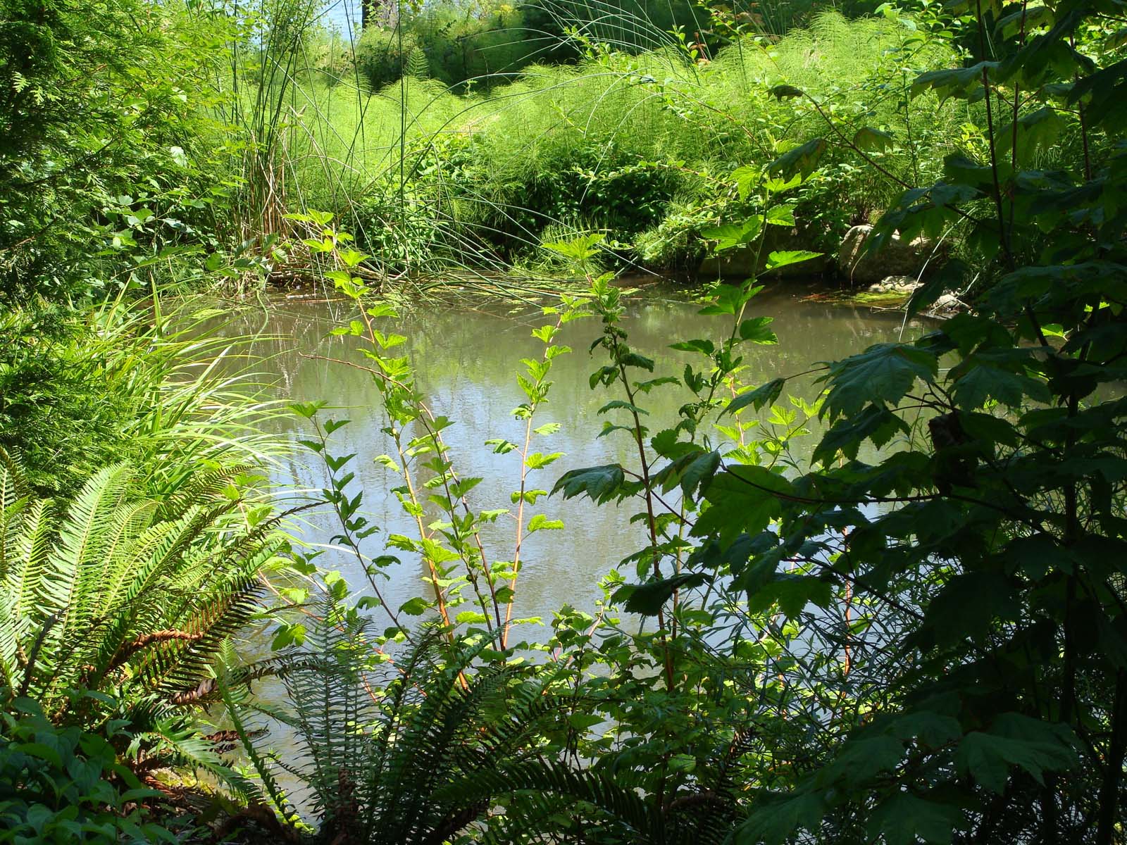 east-pond-fall-2010