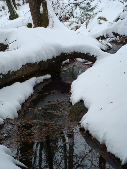 snowy-creek