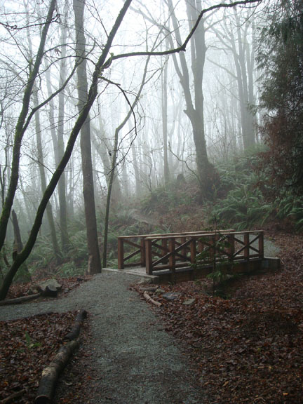 spring-street-bridge-in-fog