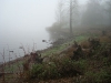 cove-in-fog