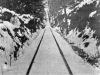 Old_Madrona_trolly_tracks