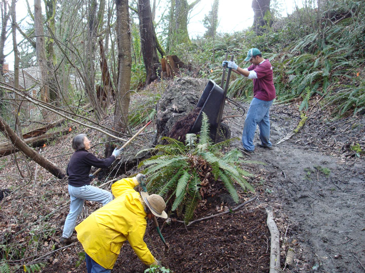 mulching-along-southwest-trail