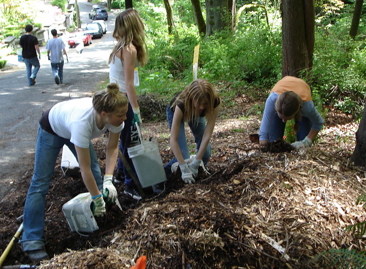 students-mulching