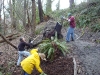 mulching-along-southwest-trail