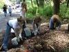 students-mulching